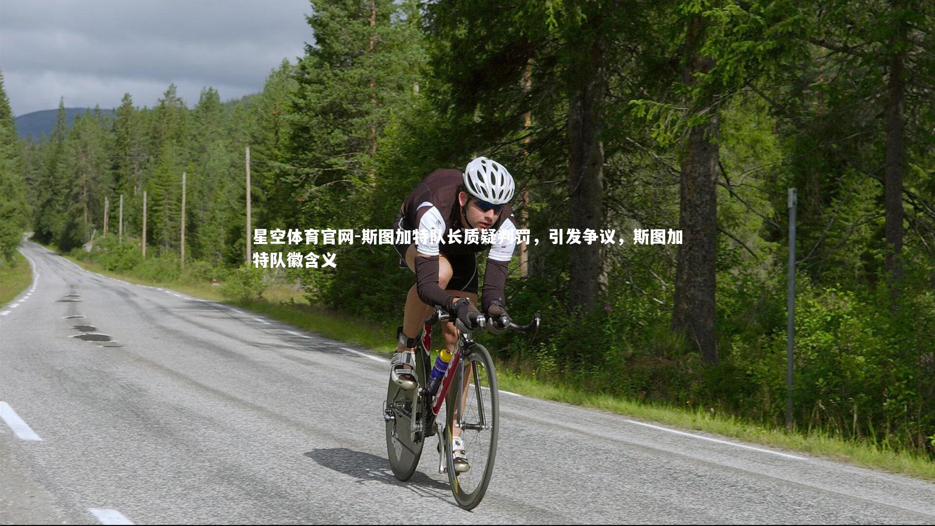 星空体育官网-斯图加特队长质疑判罚，引发争议，斯图加特队徽含义