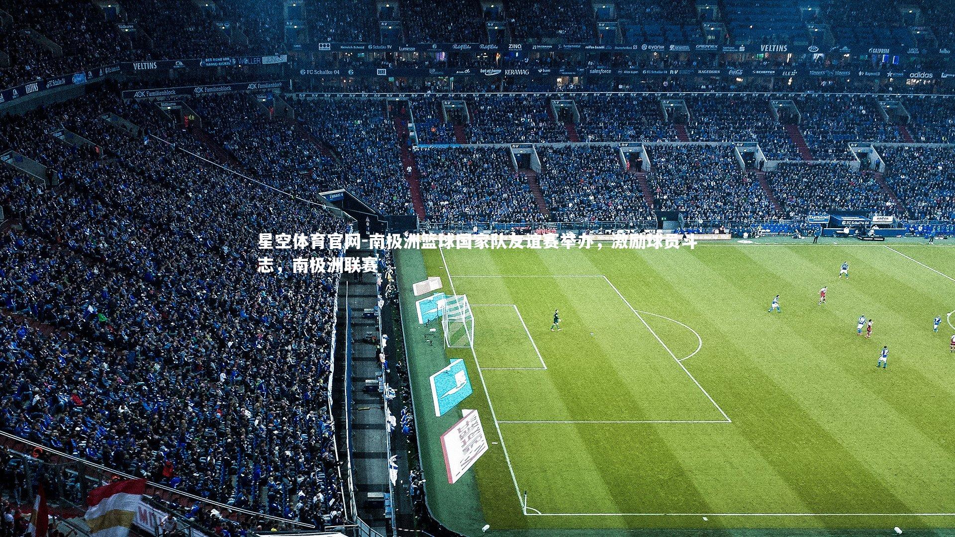 南极洲篮球国家队友谊赛举办,激励球员斗志,南极洲联赛